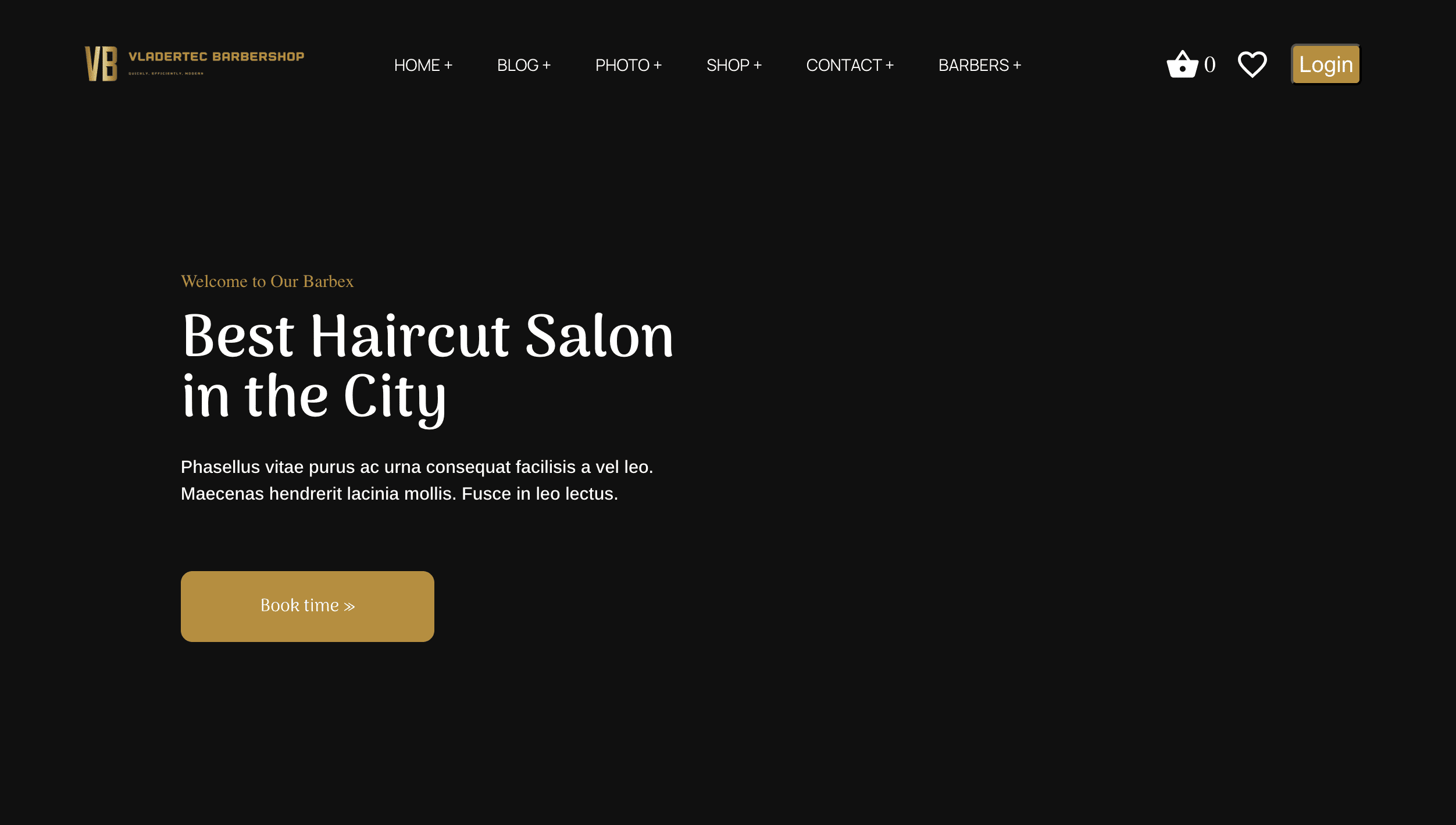 Barber project
